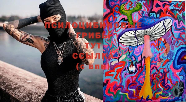 таблы Верея