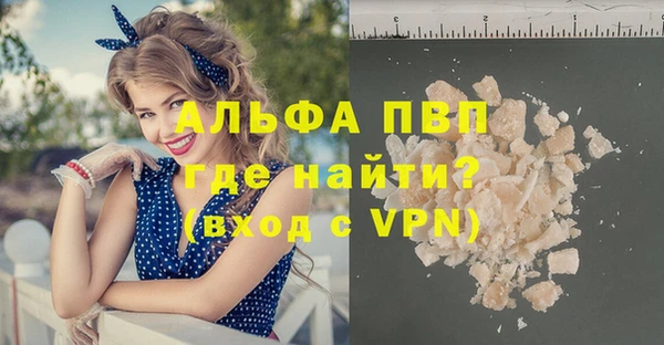 СК Волоколамск