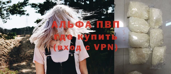 СК Волоколамск